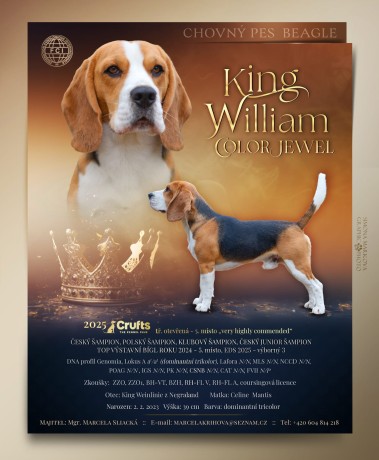 Obrázek WhatsApp, 2025-10-18 v 14.42.38_b5b764e6