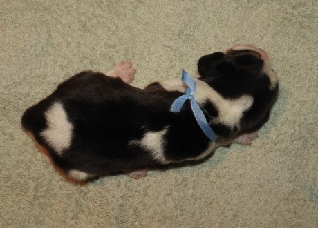 Nick z Kyjovic - 6 dní