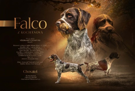 e913e98d-6577-42b9-9929-eb2d2c1f40a6